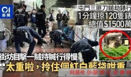 公安爆料抢劫案例视频,惊心动魄的街头抢劫案瞬间